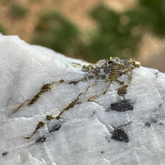 Gold in Quartz - 16 to 1 Mine - Alleghany, California Specimen - 23 grams - Picture 1 of 7